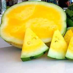 Do blue watermelons exist or is it an internet myth?