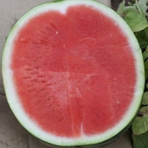 Do blue watermelons exist or is it an internet myth?