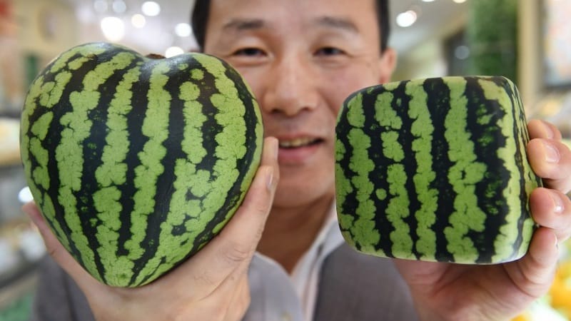 Do blue watermelons exist or is it an internet myth?