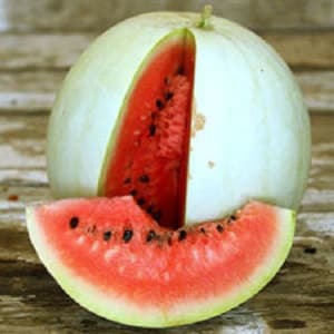 Do blue watermelons exist or is it an internet myth?