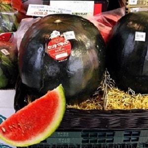 Do blue watermelons exist or is it an internet myth?