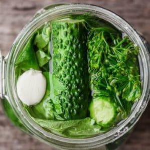How to simply and deliciously prepare lightly salted cucumbers: a selection of the best recipes