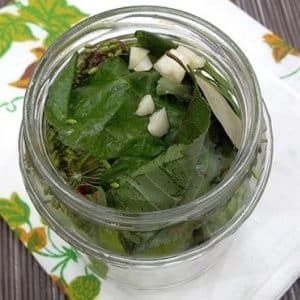 How to simply and deliciously prepare lightly salted cucumbers: a selection of the best recipes