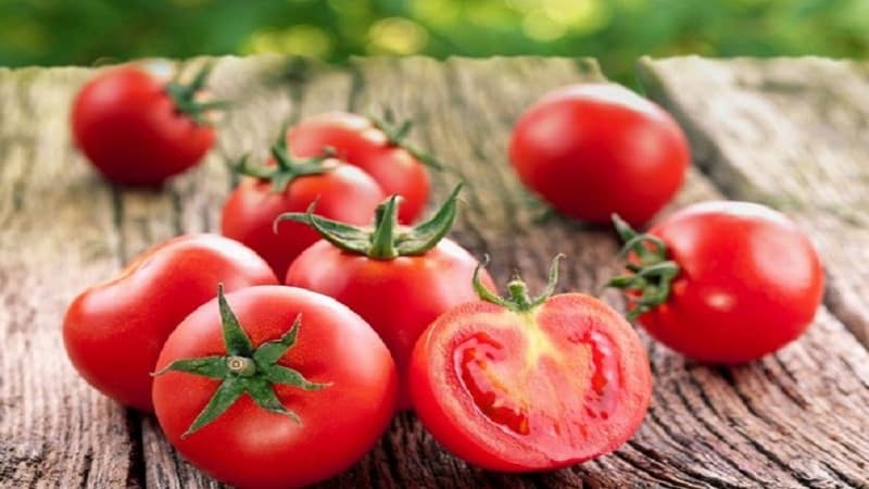 A hybrid created by domestic breeders that produces an excellent harvest - the Evpator tomato