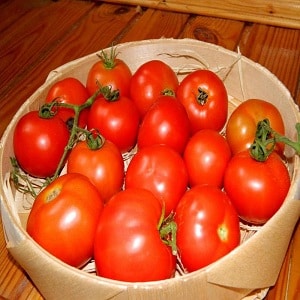 If you want to get a rich harvest of sweet tomatoes with a rich taste, plant a tomato on your plot Irina
