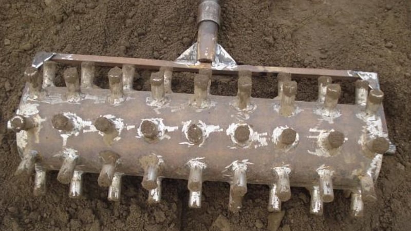 What is a garlic seeder: a review of the best models and instructions for making a planter with your own hands