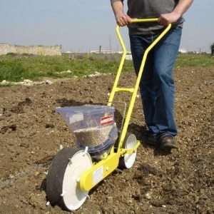 What is a garlic seeder: a review of the best models and instructions for making a planter with your own hands