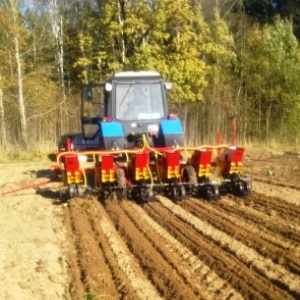 What is a garlic seeder: a review of the best models and instructions for making a planter with your own hands