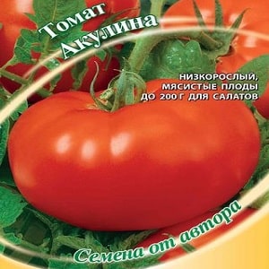 A large-fruited variety with a pleasant taste - the Akulina tomato and a step-by-step guide to growing it