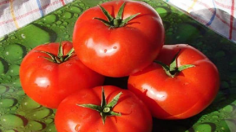 A large-fruited variety with a pleasant taste - the Akulina tomato and a step-by-step guide to growing it