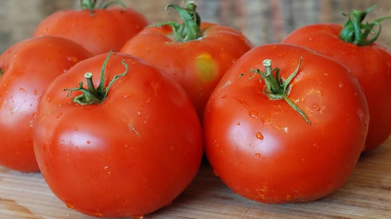 A veteran of domestic selection - the Siberian early ripening tomato, time-tested and loved by gardeners