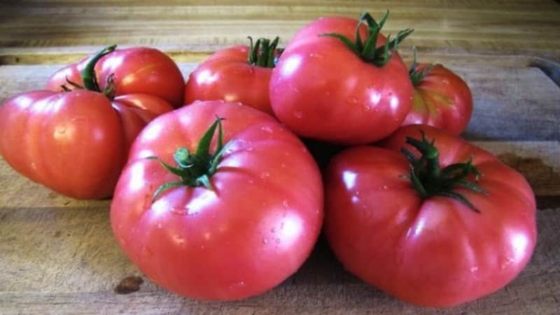 Review of the best varieties of tall tomatoes for open ground: help in choosing and reviews from summer residents