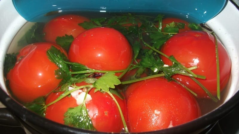 Top 10 best recipes for pickling tomatoes in a barrel, features of preparing containers and storing ready-made pickles