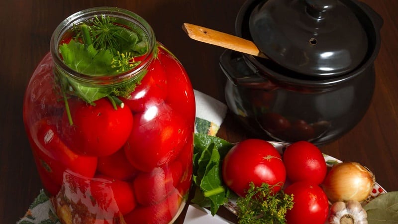 Top 10 best recipes for pickling tomatoes in a barrel, features of preparing containers and storing ready-made pickles