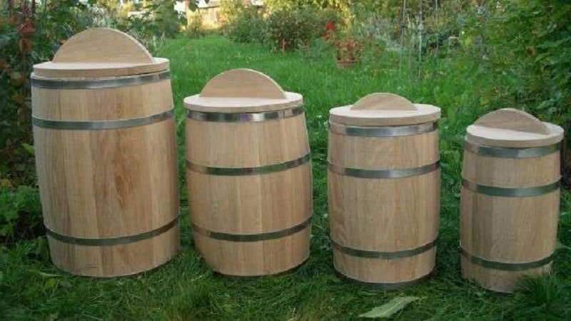 Top 10 best recipes for pickling tomatoes in a barrel, features of preparing containers and storing ready-made pickles