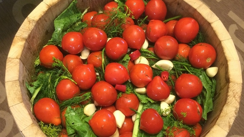 Top 10 best recipes for pickling tomatoes in a barrel, features of preparing containers and storing ready-made pickles