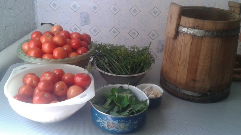 Top 10 best recipes for pickling tomatoes in a barrel, features of preparing containers and storing ready-made pickles