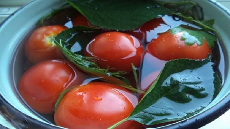 Top 10 best recipes for pickling tomatoes in a barrel, features of preparing containers and storing ready-made pickles