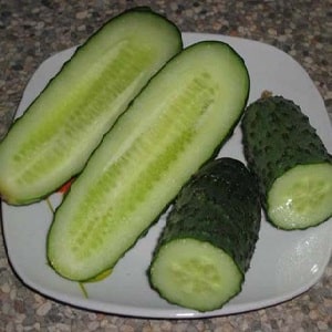 Early ripening and self-pollinating cucumber Shchedrik for fresh consumption and preparations for the winter