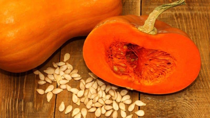 How to store pumpkin at home in an apartment: creating optimal conditions and keeping the vegetable fresh for the winter