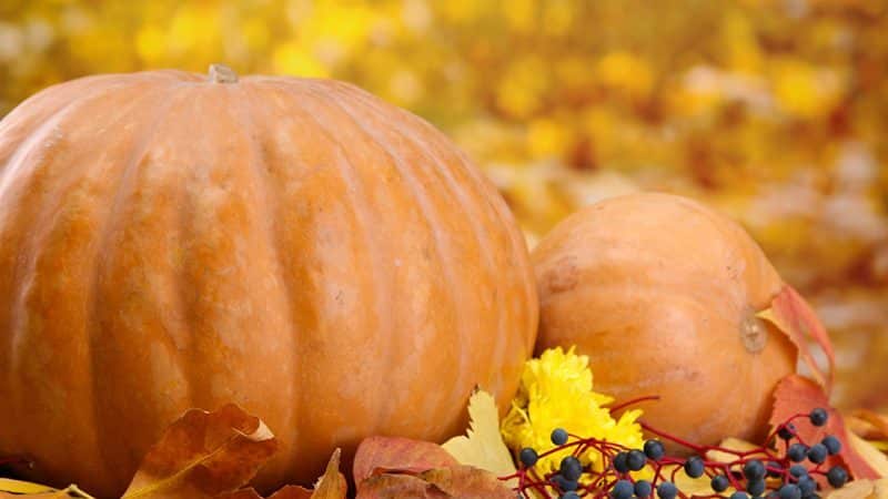 How to store pumpkin at home in an apartment: creating optimal conditions and keeping the vegetable fresh for the winter