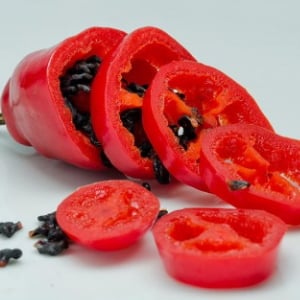 How to collect pepper seeds at home: instructions for properly preparing seed