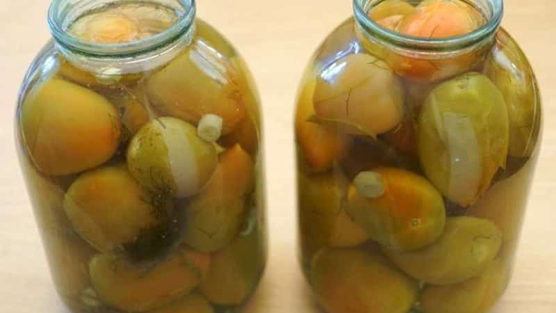 We make delicious preparations with our own hands - salted brown tomatoes: the best recipes and cooking tips