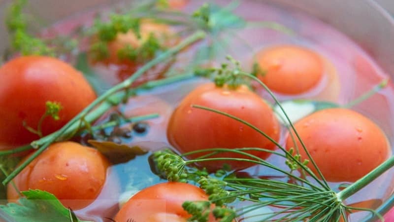 We make delicious preparations with our own hands - salted brown tomatoes: the best recipes and cooking tips