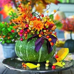 What is figleaf pumpkin: features of the species and its use in cooking and folk medicine