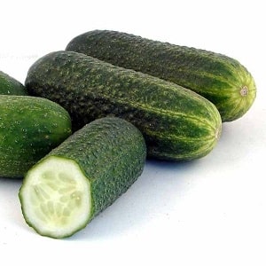 Time-tested and beloved by gardeners, the Othello cucumber from Dutch breeders