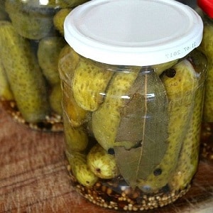 7 most delicious recipes for canned cucumbers and gherkins