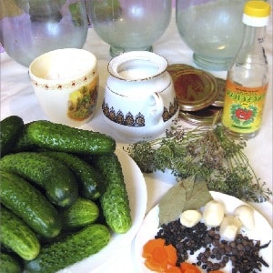 7 most delicious recipes for canned cucumbers and gherkins