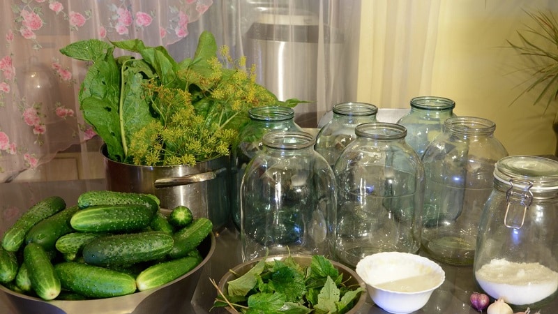 7 most delicious recipes for canned cucumbers and gherkins