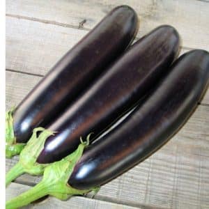 Heat-loving eggplant hybrid Valentina f1 from Dutch breeders