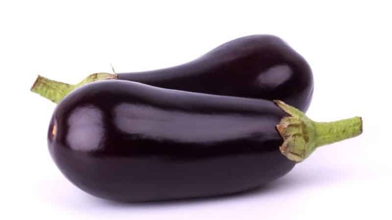 Heat-loving eggplant hybrid Valentina f1 from Dutch breeders