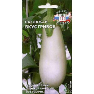 What difficulties should a summer resident prepare for when growing eggplant Taste of mushrooms?