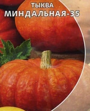 What is good about almond pumpkin and how to grow it