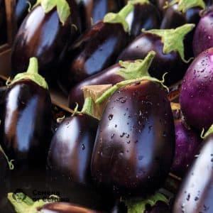 Why summer residents like the Black Beauty variety of eggplant and how to grow it
