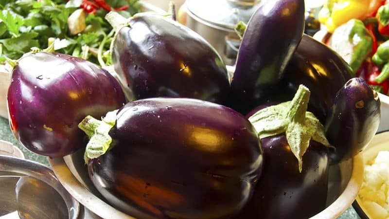 Why summer residents like the Black Beauty variety of eggplant and how to grow it