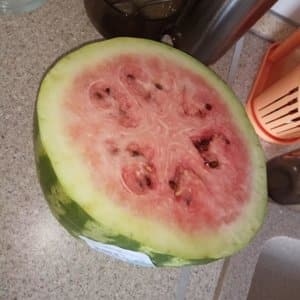 What do white veins mean in a watermelon and what other signs should you be wary of?