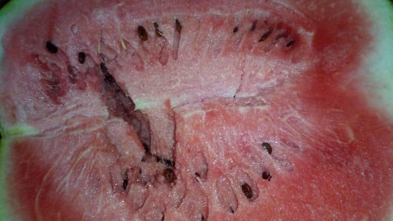 What do white veins mean in a watermelon and what other signs should you be wary of?