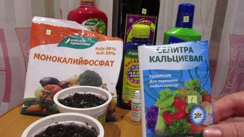 Why are nitrogen fertilizers needed for cucumbers in a greenhouse, what are they and how to apply them correctly