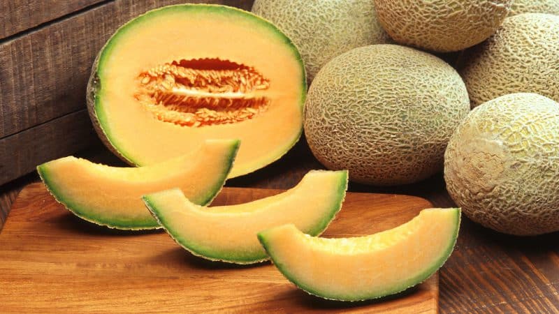 Exotic cantaloupe cantaloupe: review of a variety with amazing taste and aroma