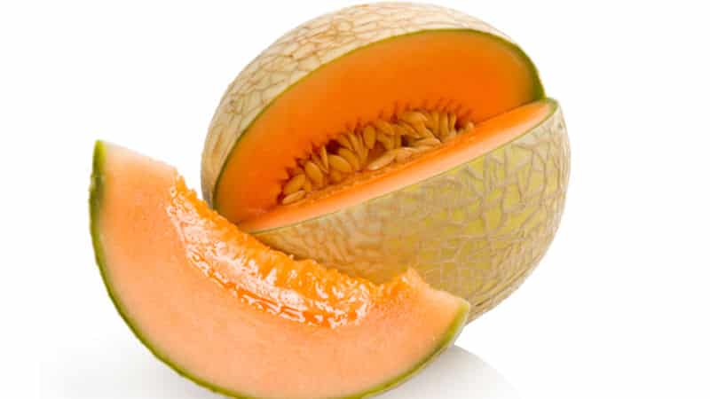 Exotic cantaloupe cantaloupe: review of a variety with amazing taste and aroma