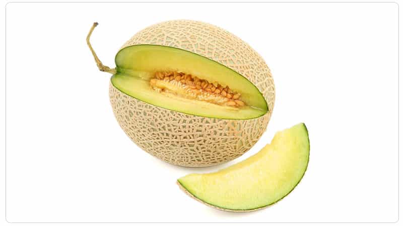 What to do if the melon is not ripe: storage rules for fruit ripening and tips for choosing