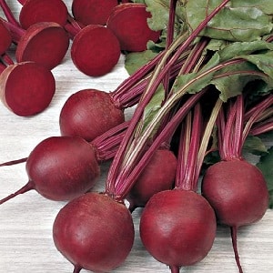 Dutch beet hybrid Action f1: features of the crop and secrets of proper care for it