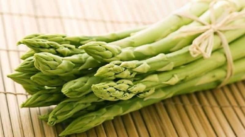 How to quickly and tasty cook canned asparagus: the best recipes
