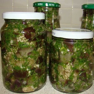 How to cook pickled eggplants for the winter: the most delicious recipes
