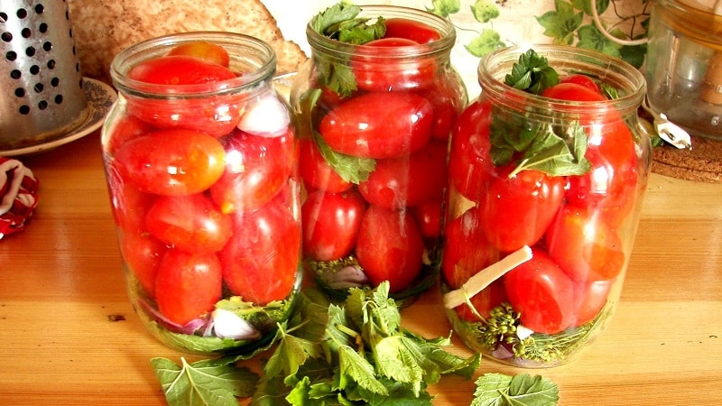 How to cook delicious pickled tomatoes for the winter: a selection of the best recipes from experienced housewives