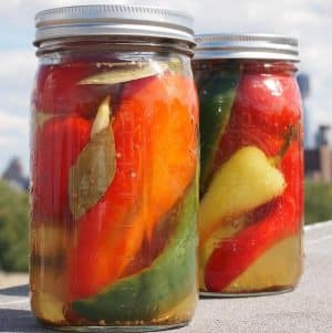 Original do-it-yourself preparations: how to salt whole bell peppers for the winter quickly and tasty